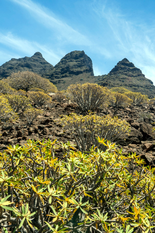 Candidatura Parque Nacional Guguy Objetivos Parque Nacional Guguy